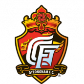 庆南FC图标