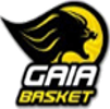 盖亚篮球俱乐部队标,盖亚篮球俱乐部图片