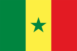 塞内加尔沙滩足球队队标,塞内加尔沙滩足球队图片
