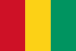几内亚U20资讯