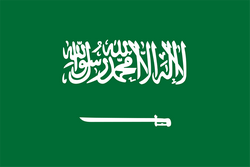 沙特阿拉伯U17图标
