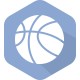 盖迪亚瓦耶篮球学院女篮队标,盖迪亚瓦耶篮球学院女篮图片