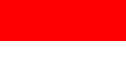印度尼西亚U19图标