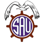 圣安东尼奥联队标,圣安东尼奥联图片